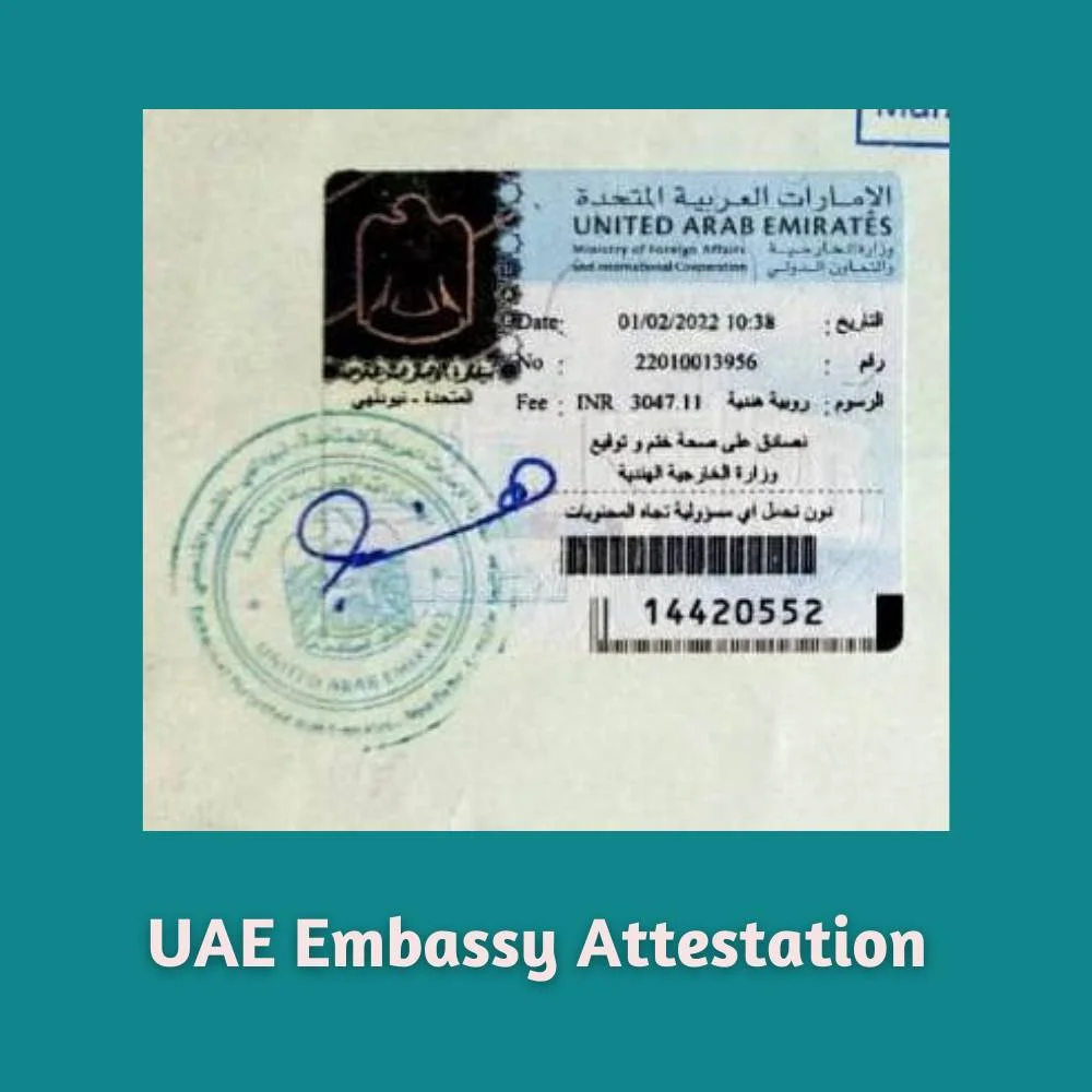 Apostille Services in Ahmadabad-Gujarat
